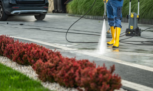 Best Building Exterior Washing  in Apollo Beach, FL